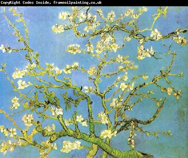 Vincent Van Gogh Blossomong Almond Tree